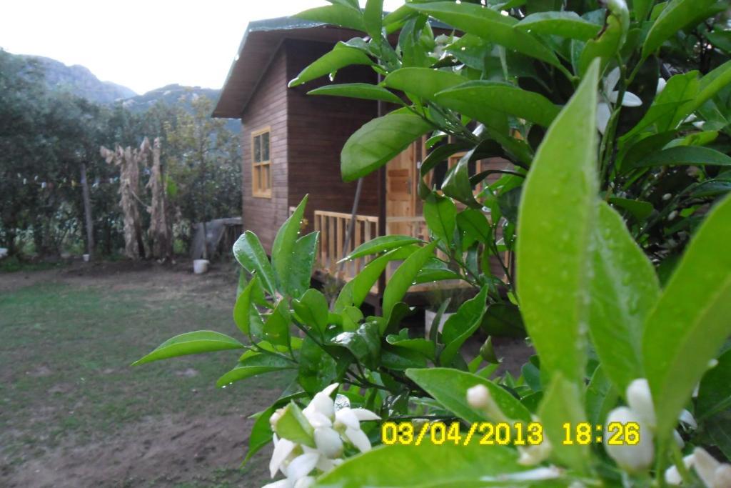 Cesur Pansiyon Hotell Çıralı Rom bilde